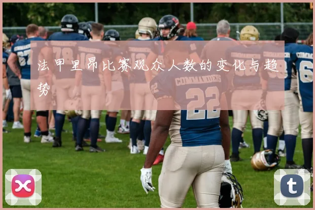 法甲里昂比赛观众人数的变化与趋势