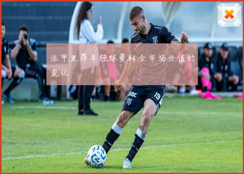 法甲里昂年轻球员转会市场价值的变化