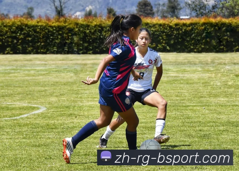 必一体育官方网站平台生态图